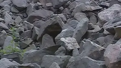 Угольный шлам